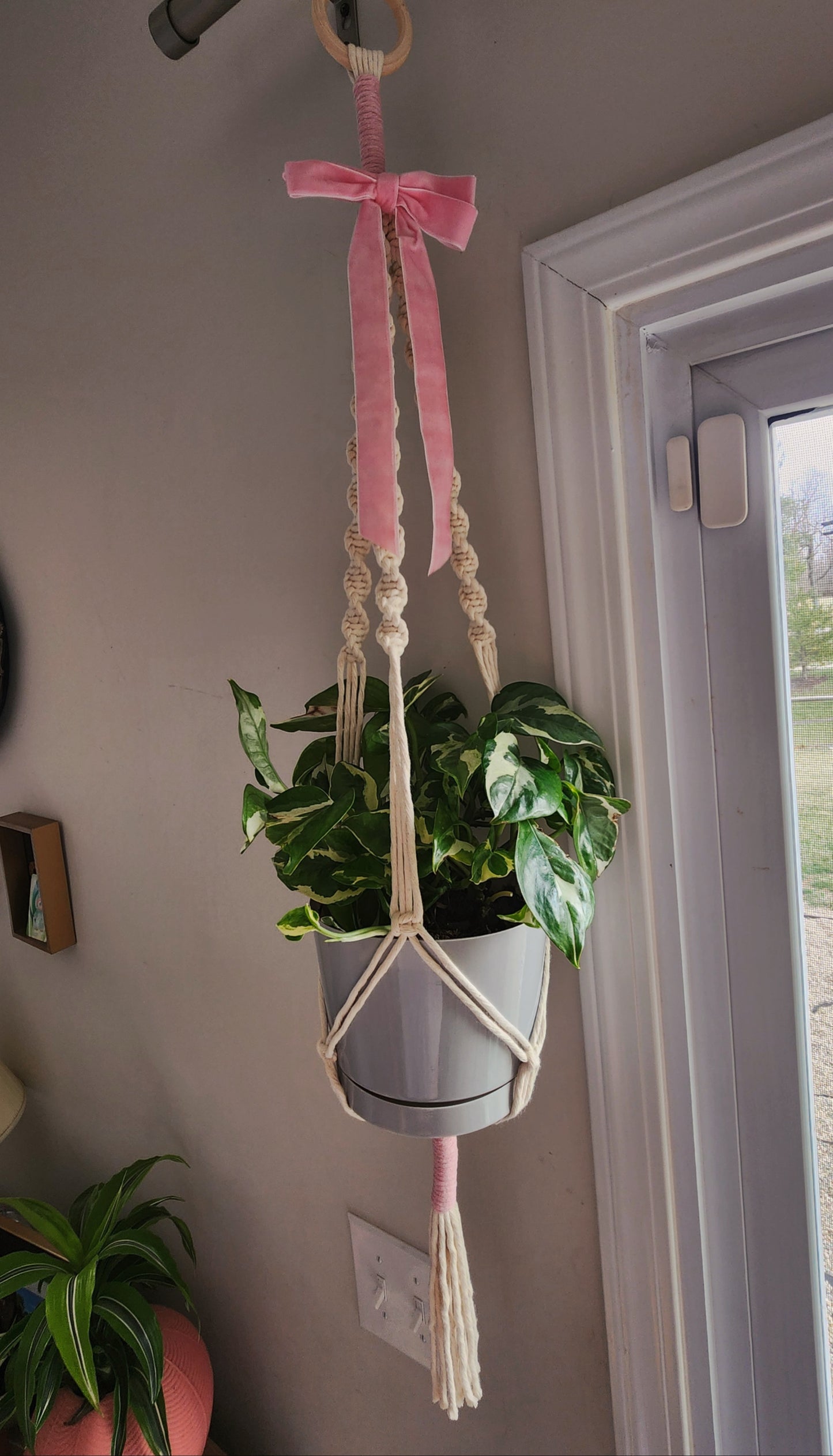 Pink Bow Macrame Plant Hanger