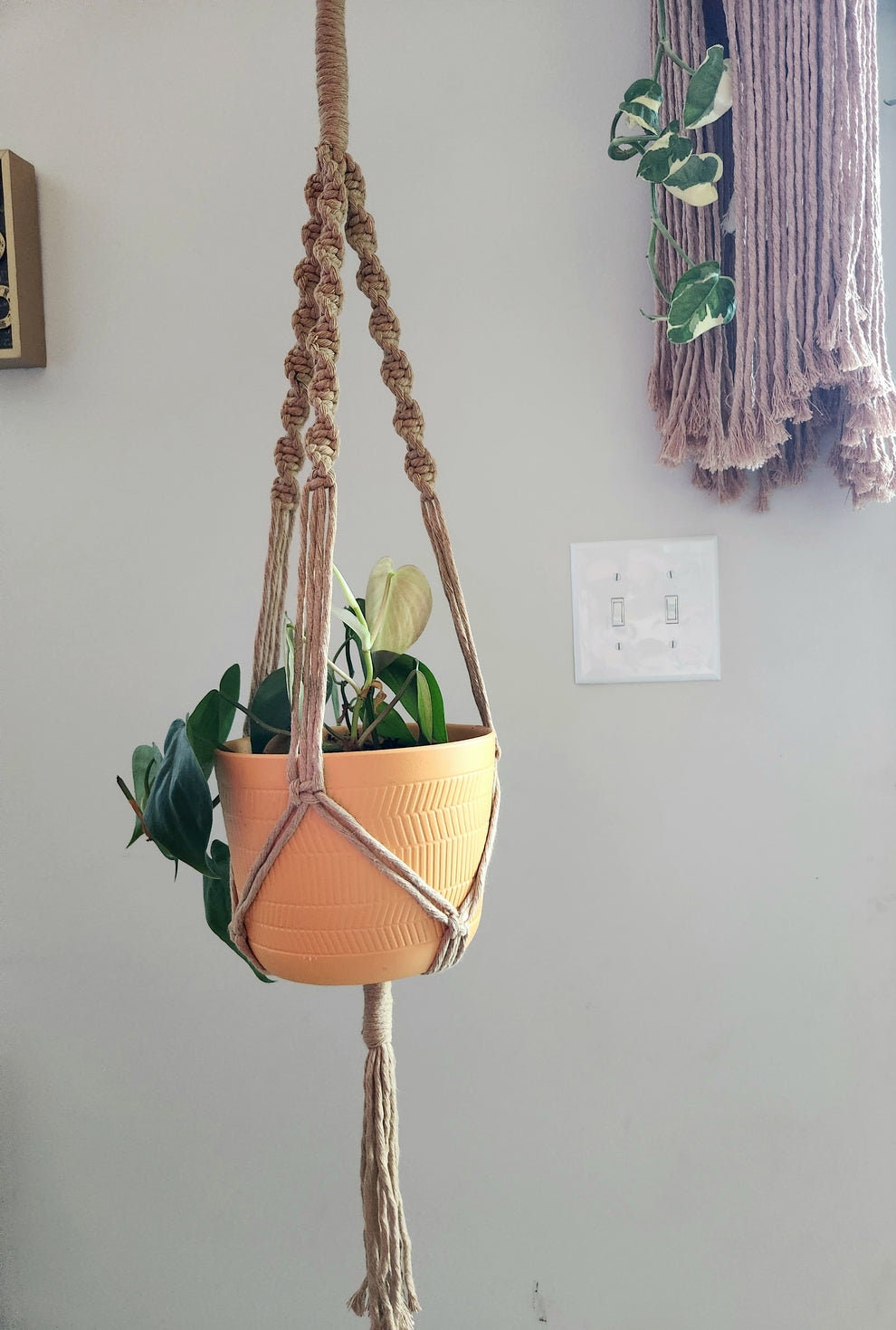 Macrame Plant Hanger - Tan