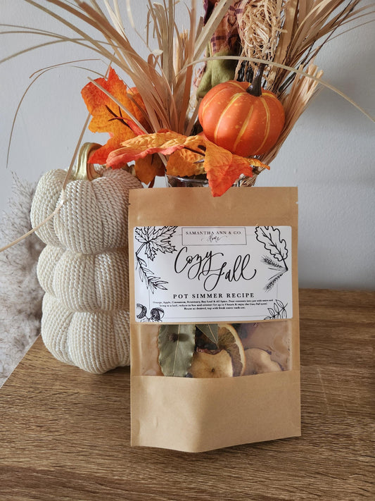 Cozy Fall Simmer Pot Mix | Holiday simmer pot