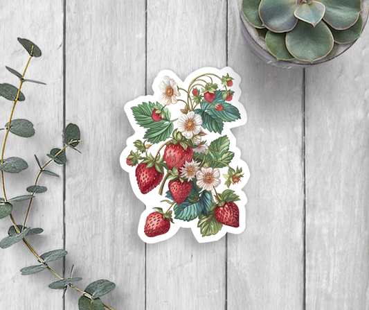 Strawberries Vinyl Sticker